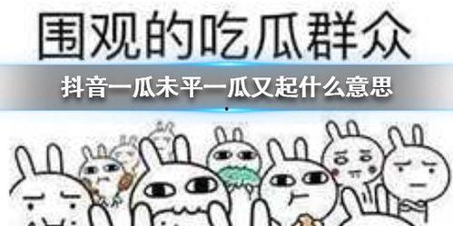 抖音吃瓜图片,一场视觉盛宴背后的故事”